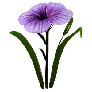 Soft Purple Flower PNG 27