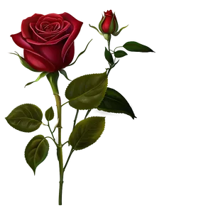 Soft Red Rose PNG 16