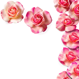 Soft Rose Petals Png 71 PNG image