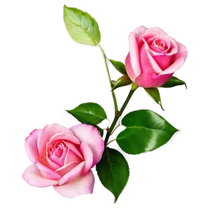 Soft Rose Petals PNG Grh PNG