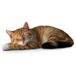 Soft Sleeping Cat PNG Dah PNG