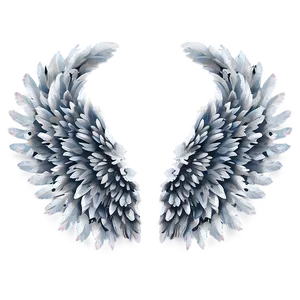 Soft White Wings PNG 06262024