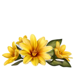 Soft Yellow Flowers Png 06122024 PNG image