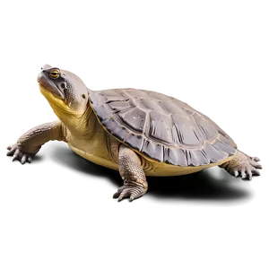Softshell Turtle In Mud PNG Act18 PNG