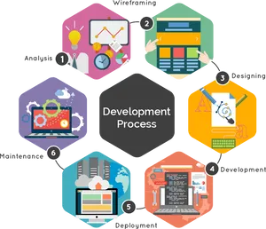 Software_ Development_ Lifecycle_ Infographic PNG image