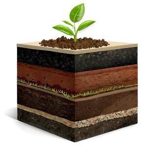 Soil Layers And Composition Png 05242024 PNG image