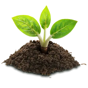 Soil Sprout Png 06132024 PNG image