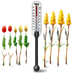 Soil Thermometer PNG Ynq90