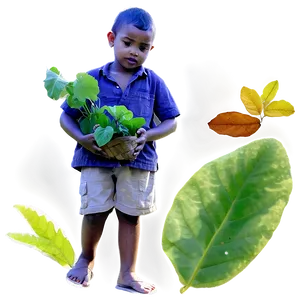 Son Collecting Leaves Png 06242024 PNG image