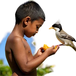 Son Feeding Birds PNG Iga99 PNG