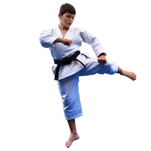 Son's Karate Class Png Tag23 PNG image