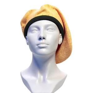 Sophisticated Beret Art Png Jlw PNG image