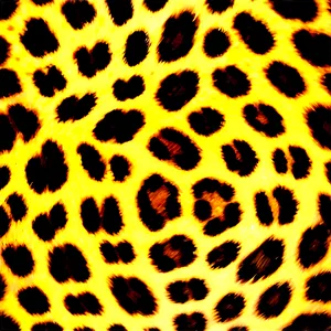 Sophisticated Leopard Print PNG Exp PNG
