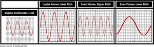 Sound Wave Comparison Oscilloscope Trace PNG image