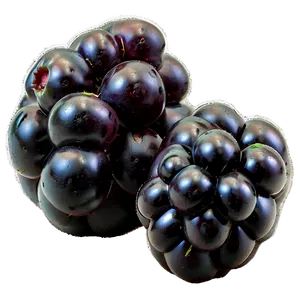 Sour Blackberry Fruit PNG 06252024