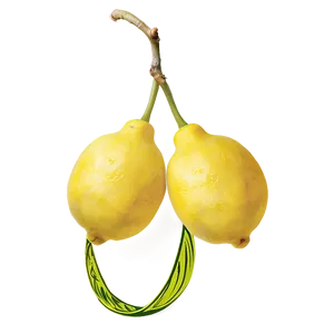 Sour Lemons PNG 54 PNG