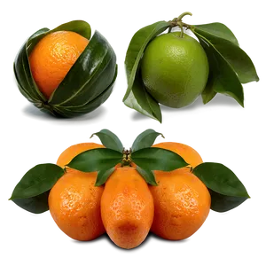 Sour Orange Fruit PNG Oyy