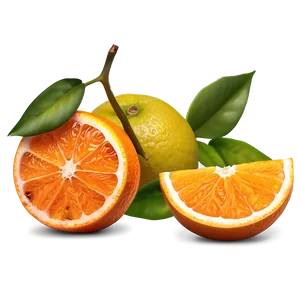 Sour Orange Fruit PNG Pfs