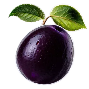 Sour Plum Image Png 06252024 PNG image