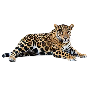 South American Jaguar PNG Sih81 PNG