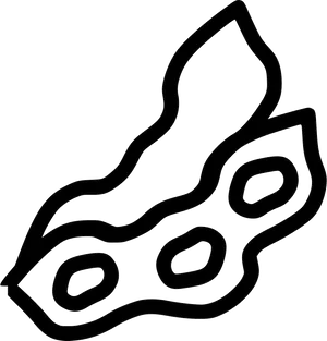 Soybean Pod Line Art PNG image