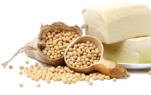 Soybeansand Tofu Display PNG image