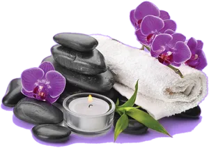 Spa Relaxation Essentials.png