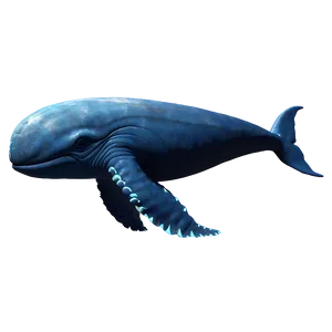 Space Whale Png 05232024 PNG image