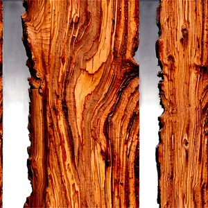 Spalted Beech Wood Board PNG Map PNG