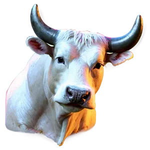 Spanish Bull Icon PNG 52