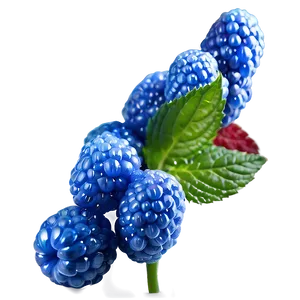 Sparkling Blue Raspberry Png 53 PNG image