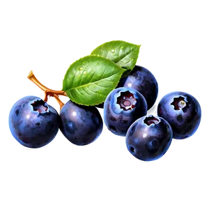 Sparkling Blueberries PNG 05242024
