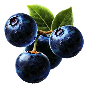 Sparkling Blueberries PNG 05242024