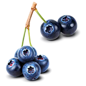 Sparkling Blueberries PNG Qvt59