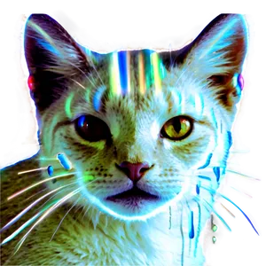 Sparkling Cat Filter PNG 06282024