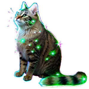 Sparkling Cat Filter PNG Ixj45