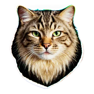 Sparkling Cat Filter PNG Pwg25