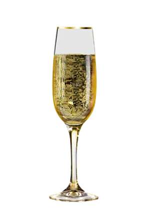 Sparkling Champagne Glass Black Background.jpg