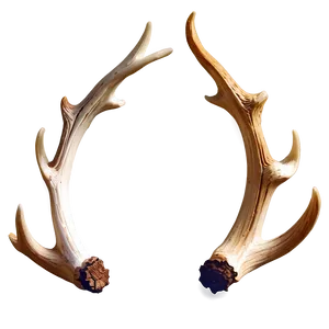 Sparkling Deer Antler PNG Juo72 PNG