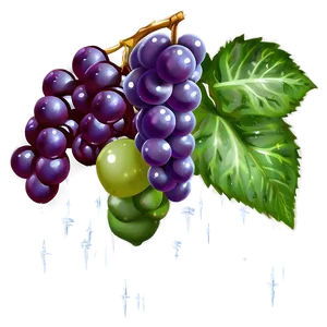 Sparkling Grape PNG Urt