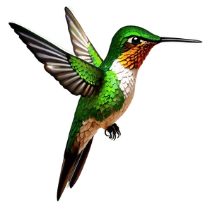 Sparkling Hummingbird Png Ioc77 PNG image