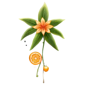 Sparkling Orange Flora PNG Cdo14 PNG