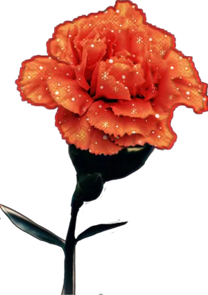 Sparkling Orange Roseon Gray Background