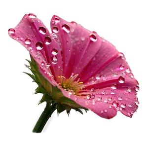 Sparkling Pink Flower Dew PNG Hko