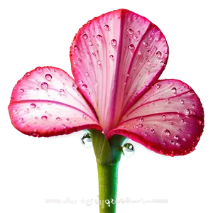 Sparkling Pink Flower Dew PNG Orx2