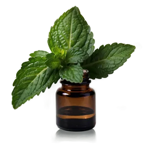 Spearmint Essential Oil PNG 82 PNG