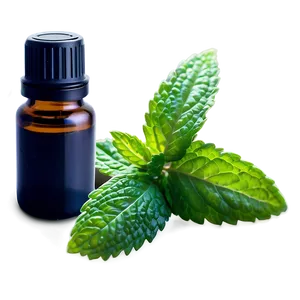 Spearmint Essential Oil PNG Kgh65 PNG