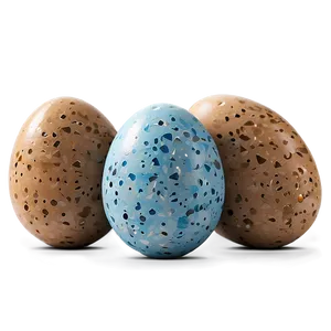 Speckled Egg PNG Vwg