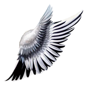 Spectacular White Wings PNG 06262024 PNG