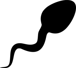 Sperm Cell Silhouette PNG image
